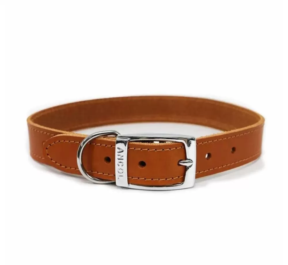 Ancol Large Dog Collar | Dog Collar Classic Brown