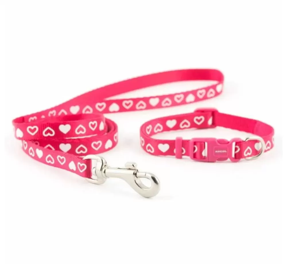 Ancol Small Dog Collars | Dog Collar Set With Leash Heart Raspberry