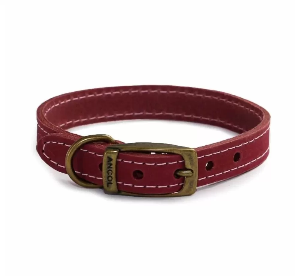 Ancol Large Dog Collar | Dog Collar Timberwolf Raspberry