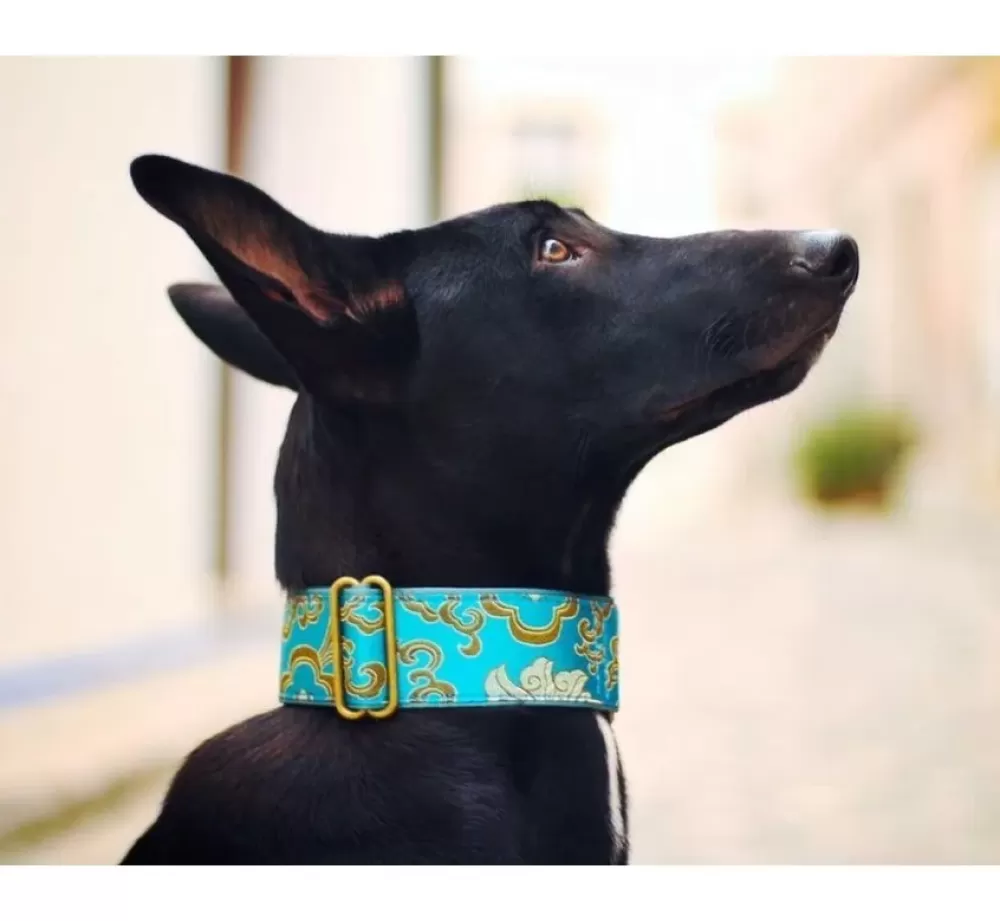 Barcelona Dogs Exclusive Dog Collars | Martingale Dog Collar Brocade Green