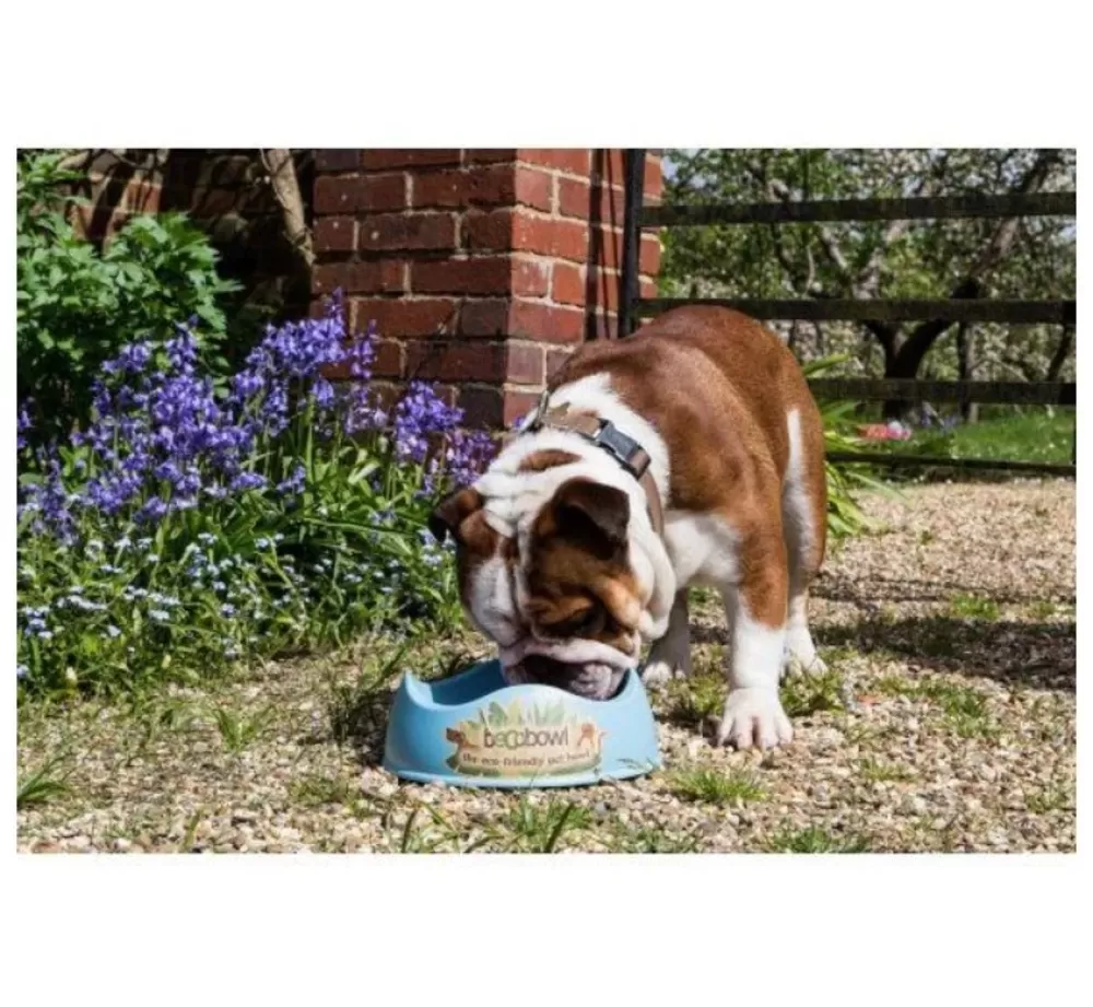 Beco Pets Food Bowl And Water Bowl | Beco Bowl Blue