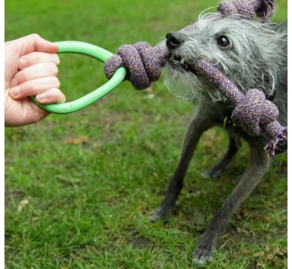 Beco Pets Puppy Toys | Dog Toy Hoop On A Rope Green