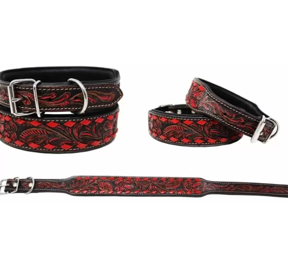 Challenger Exclusive Dog Collars | Dog Collar Nature Red