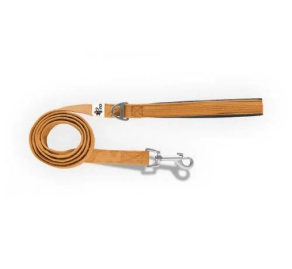 Curli Puppy Leash | Dog Leash Basic Orange