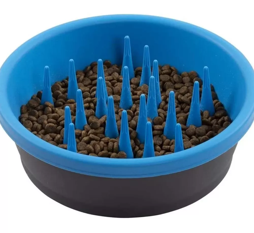 Dexas Food Bowl And Water Bowl | Food Bowl Slow Feeder Blue