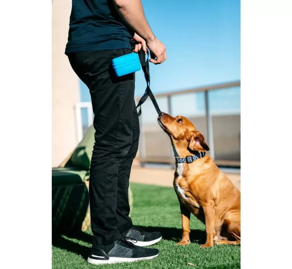 Dexas Reward Bags | Treat Bag Pooch Pouch Pro Blue