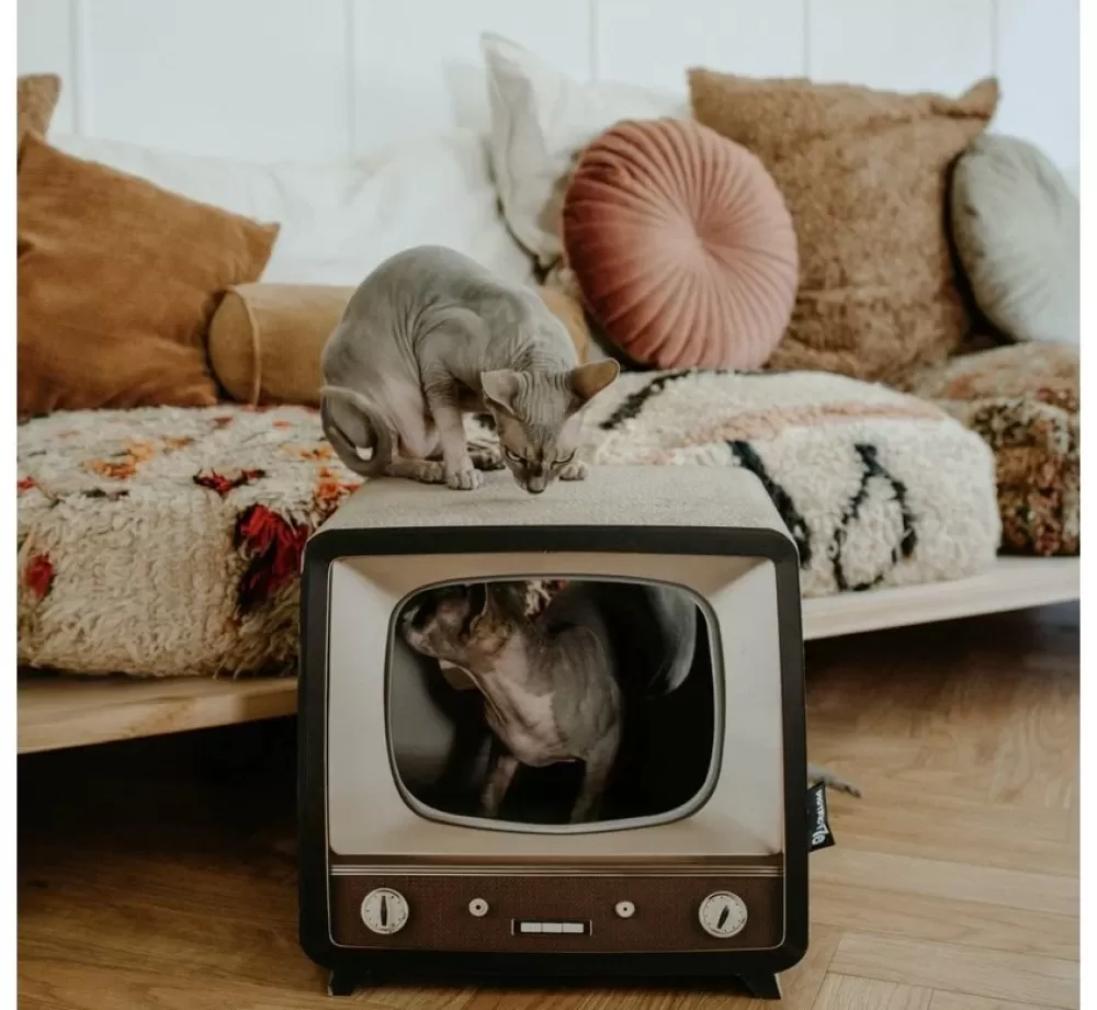 District70 Cat Scratcher | District 70 Cat Scratcher Telly