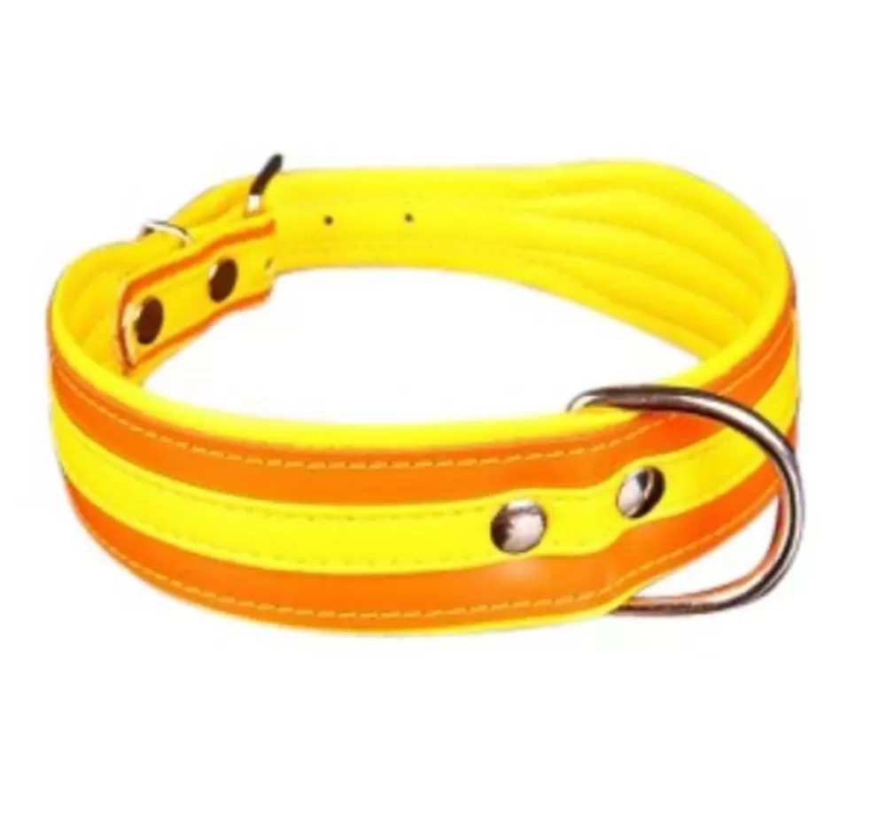 Houndworthy dog collar new arrivals