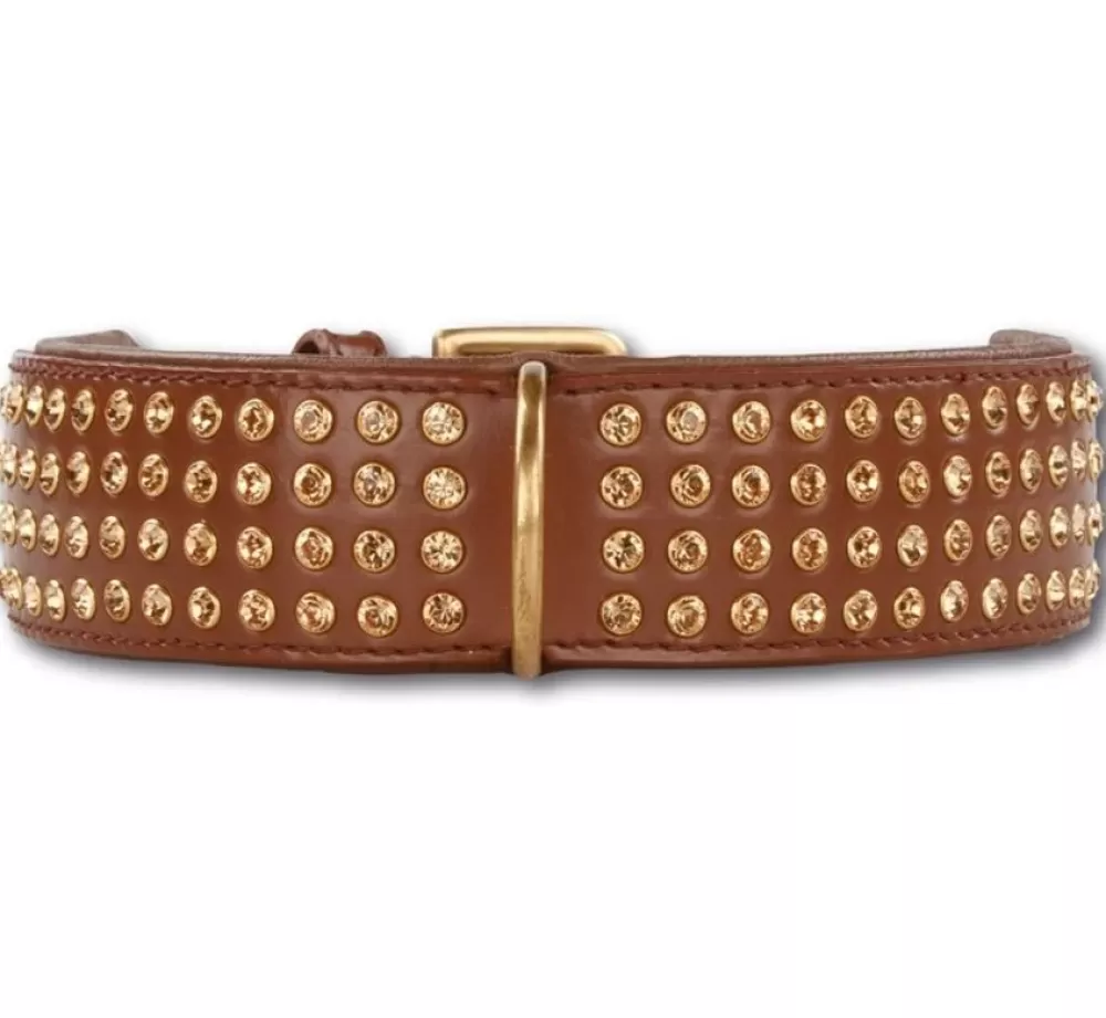 Doxtasy Swarovski Dog Collars | Dog Collar Swarovski Extreme Brown 45Mm