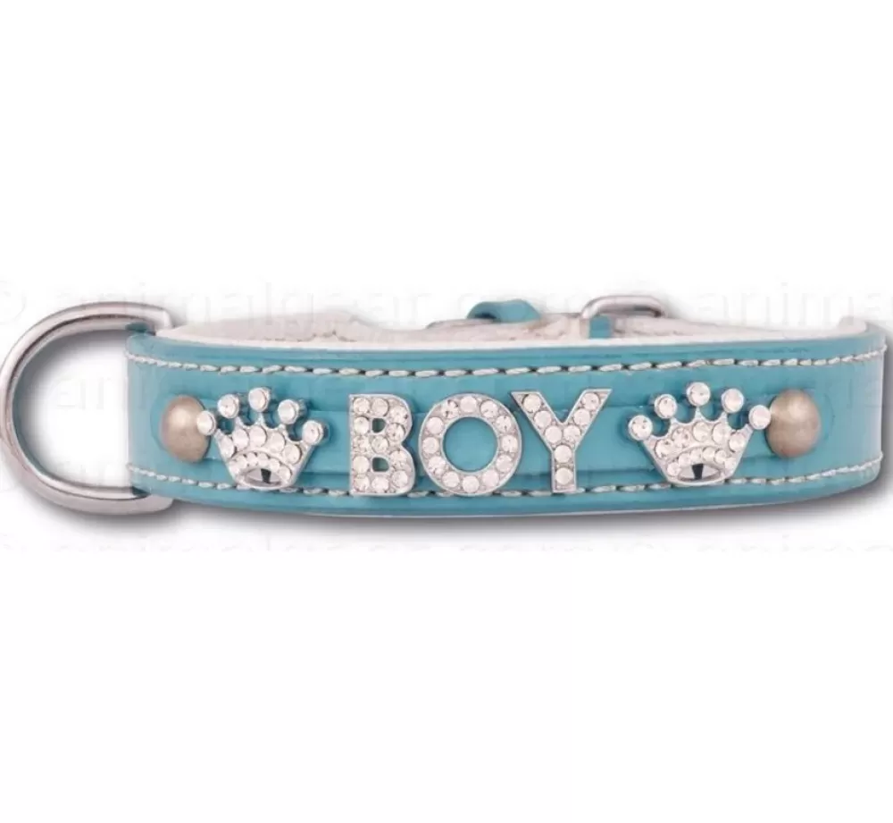 Doxtasy Dog Collar With Name | Dog Collar With Name Medium Babyblue