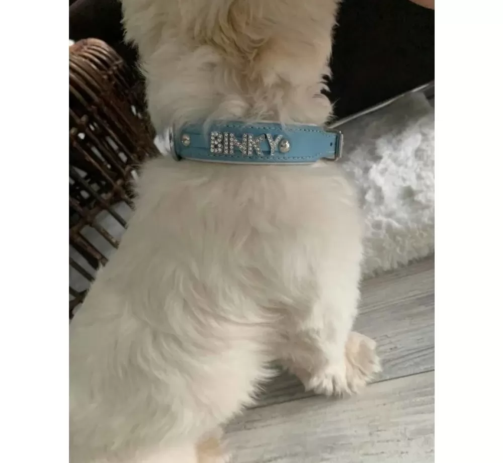 Doxtasy Dog Collar With Name | Dog Collar With Name Medium Babyblue