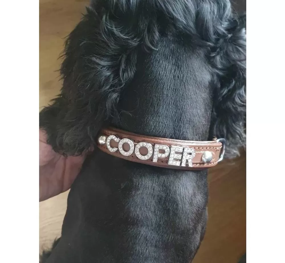 Doxtasy Dog Collar With Name | Dog Collar With Name Medium Brown