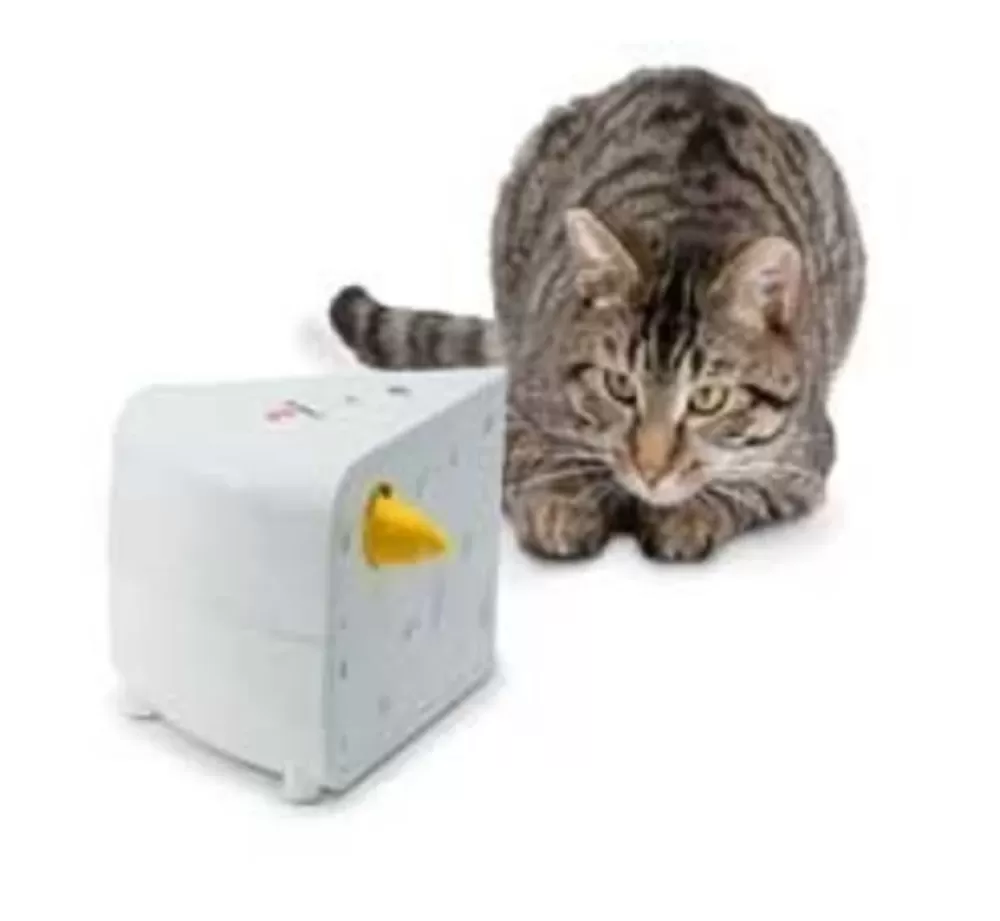 FroliCat Cat Toys | Cat Toy Cheese