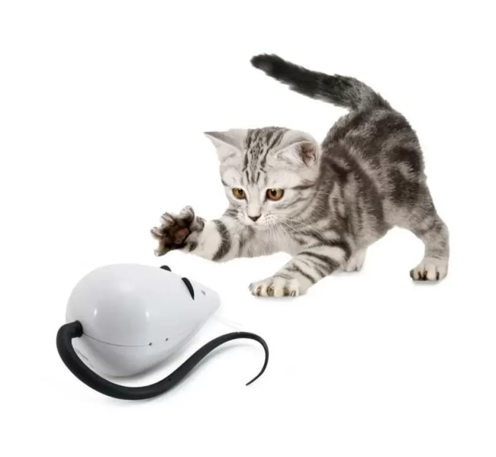 FroliCat Cat Toys | Cat Toy Rolocat