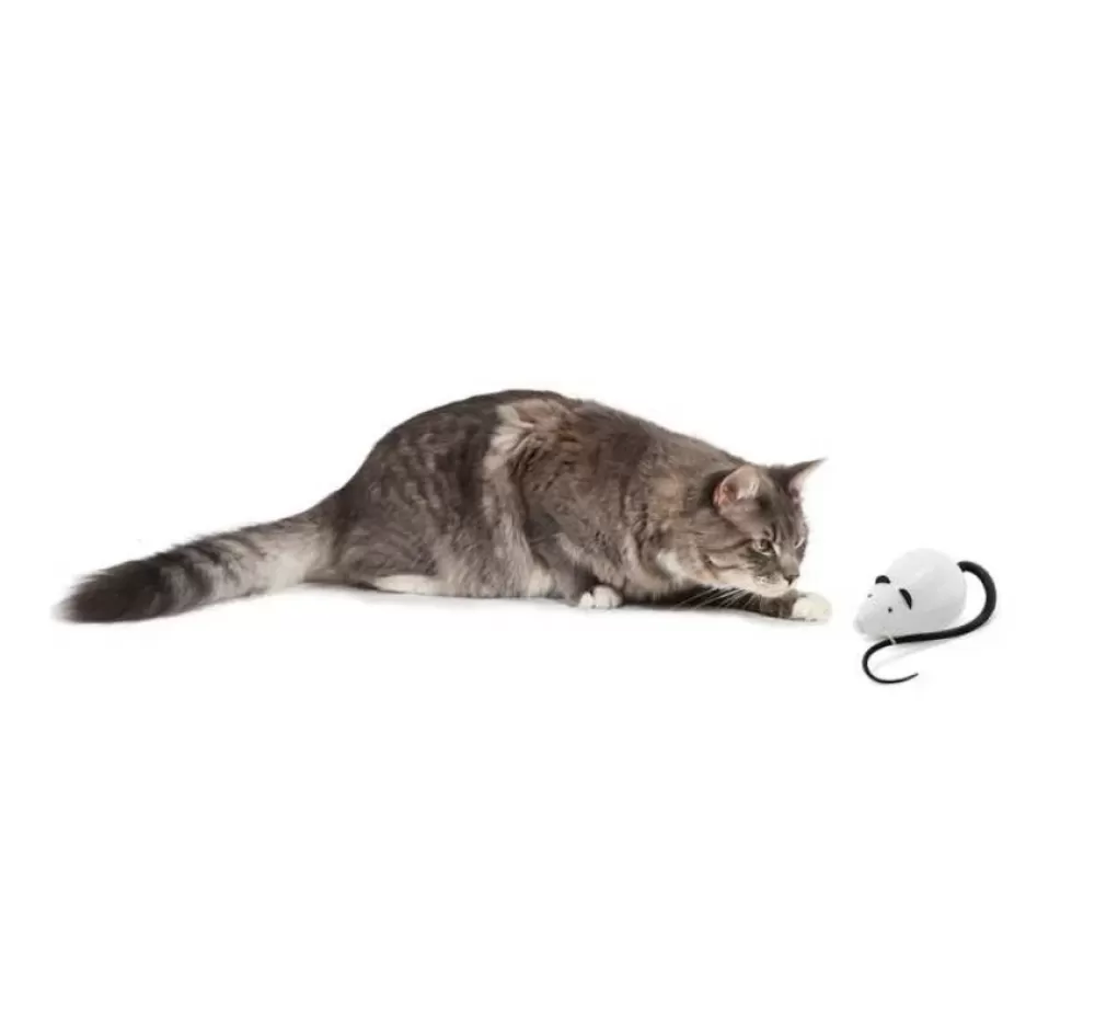 FroliCat Cat Toys | Cat Toy Rolocat