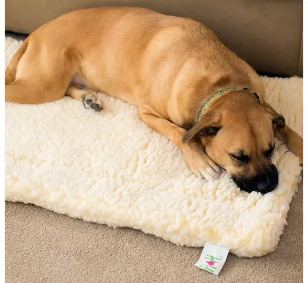 Hugglehounds Dog Blankets | Fleece Mat