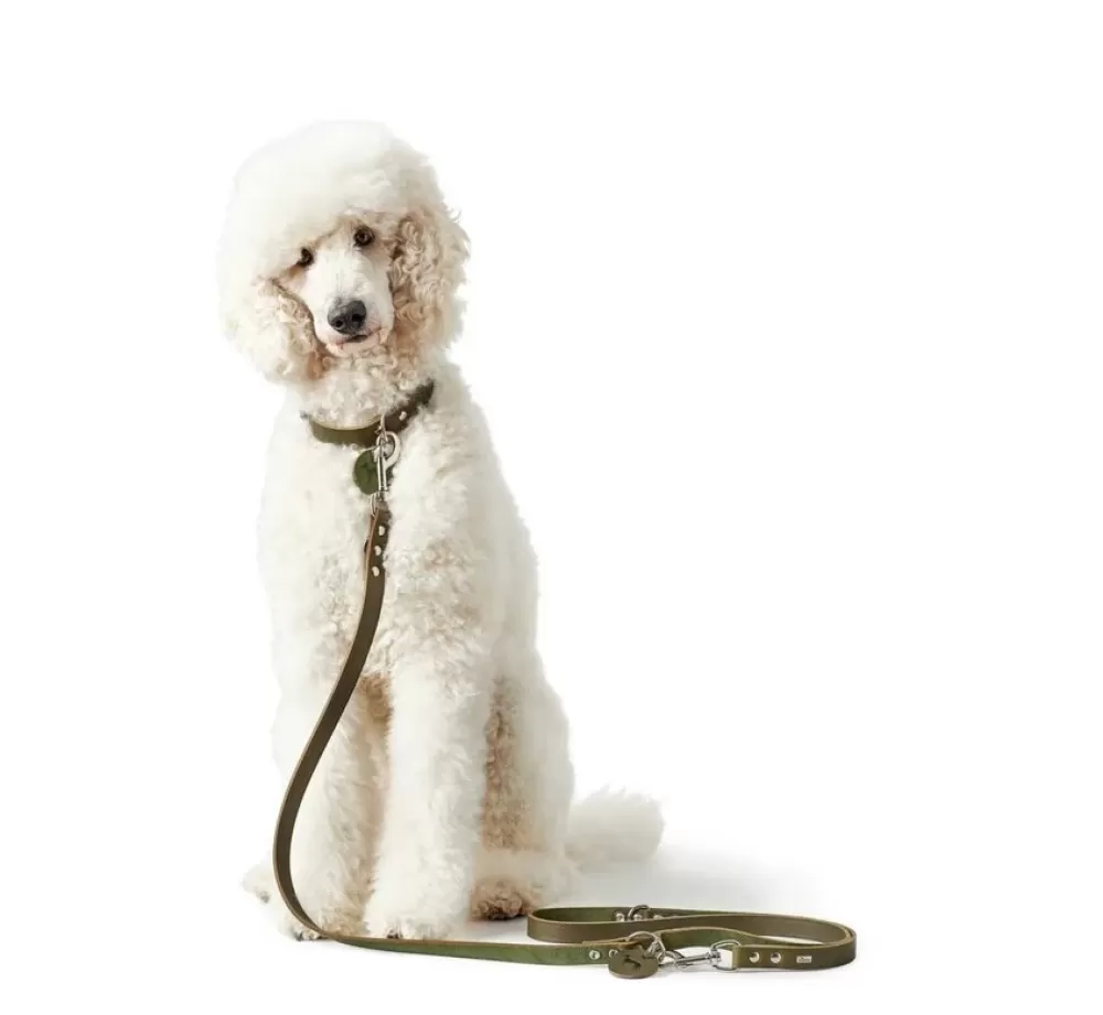 Hunter Hunter Dog Leash | Adjustable Dog Leash Aalborg Olive