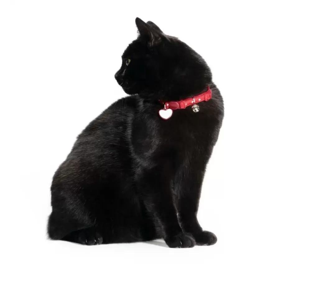 Hunter Cat Collars | Cat Collar Glossy Dots Red