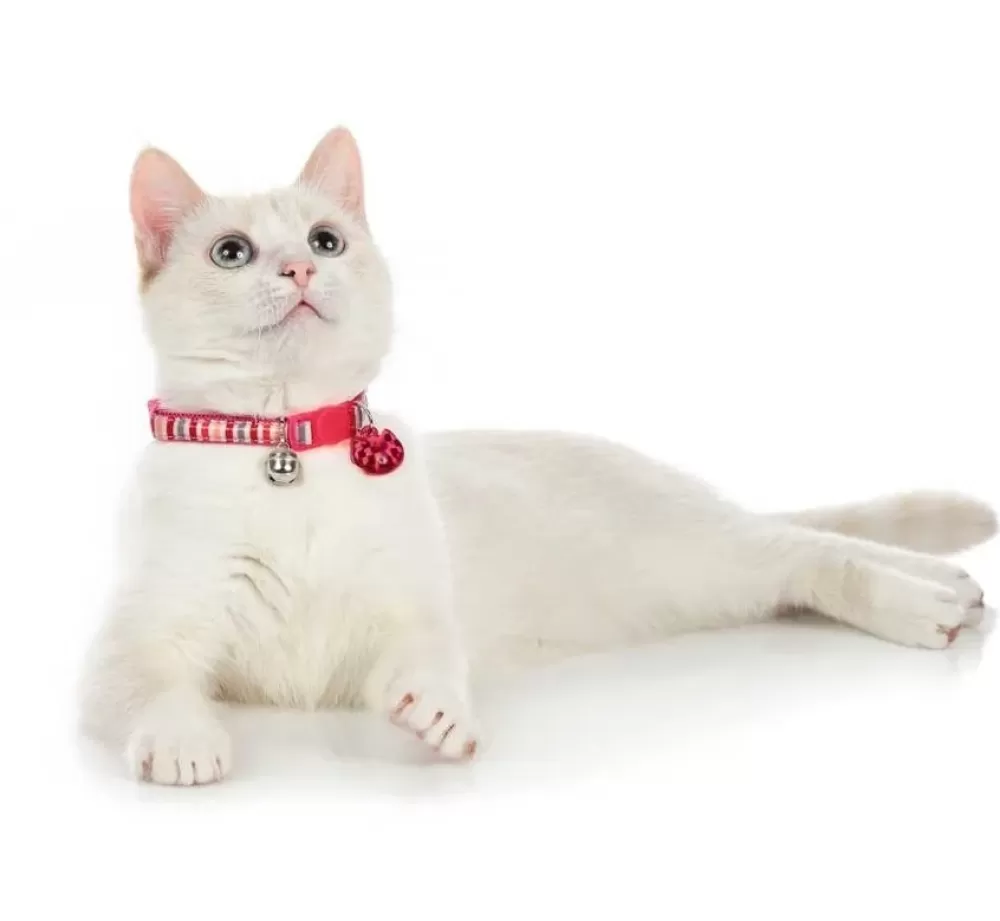 Hunter Cat Collars | Cat Collar Glossy Stripes Pink