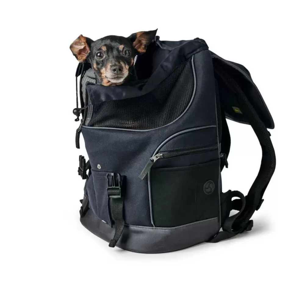 Hunter Pet Carriers | Dog Backpack Madison