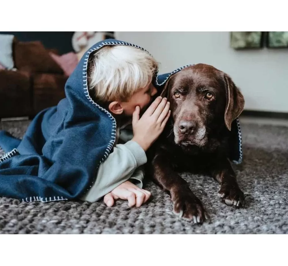 Hunter Dog Blankets | Dog Blanket Casper Blue