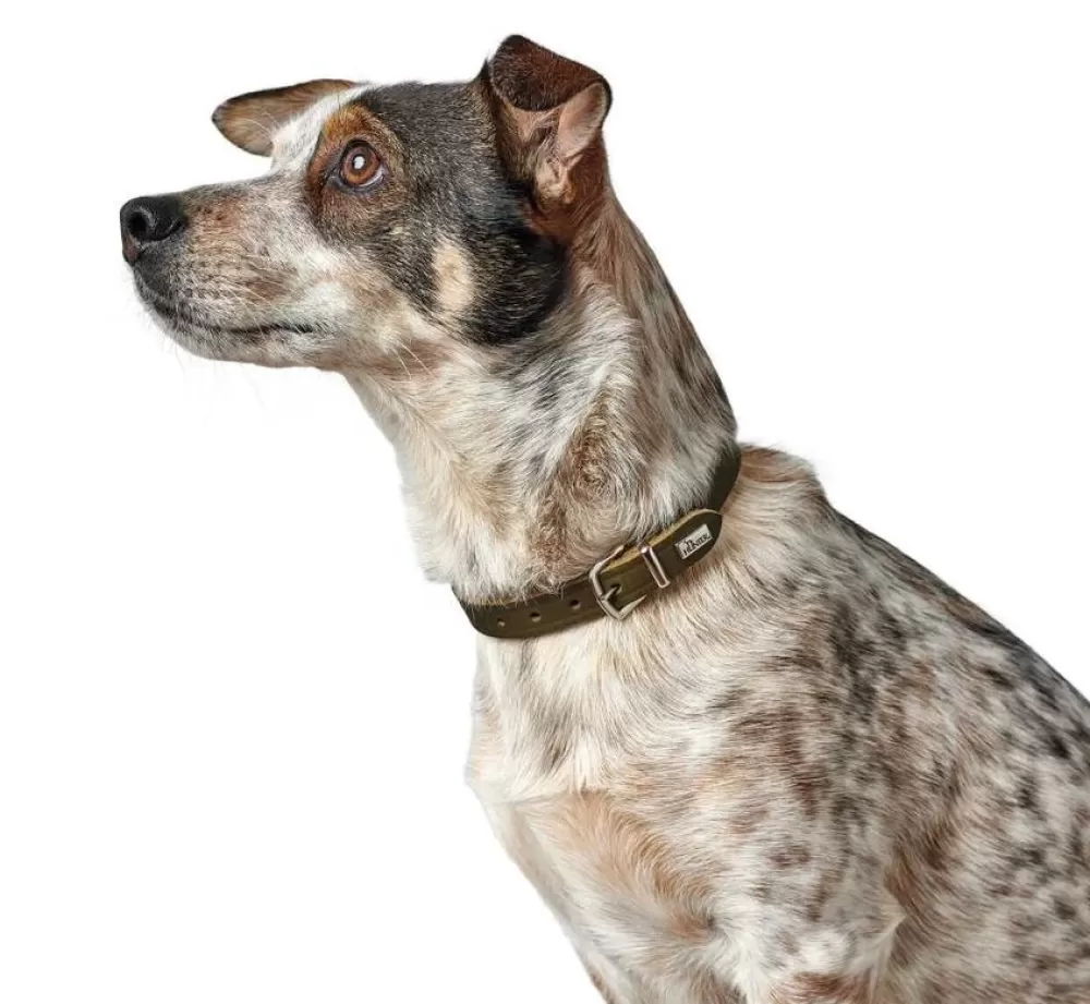 Hunter Leather Dog Collar | Dog Collar Aalborg Olive