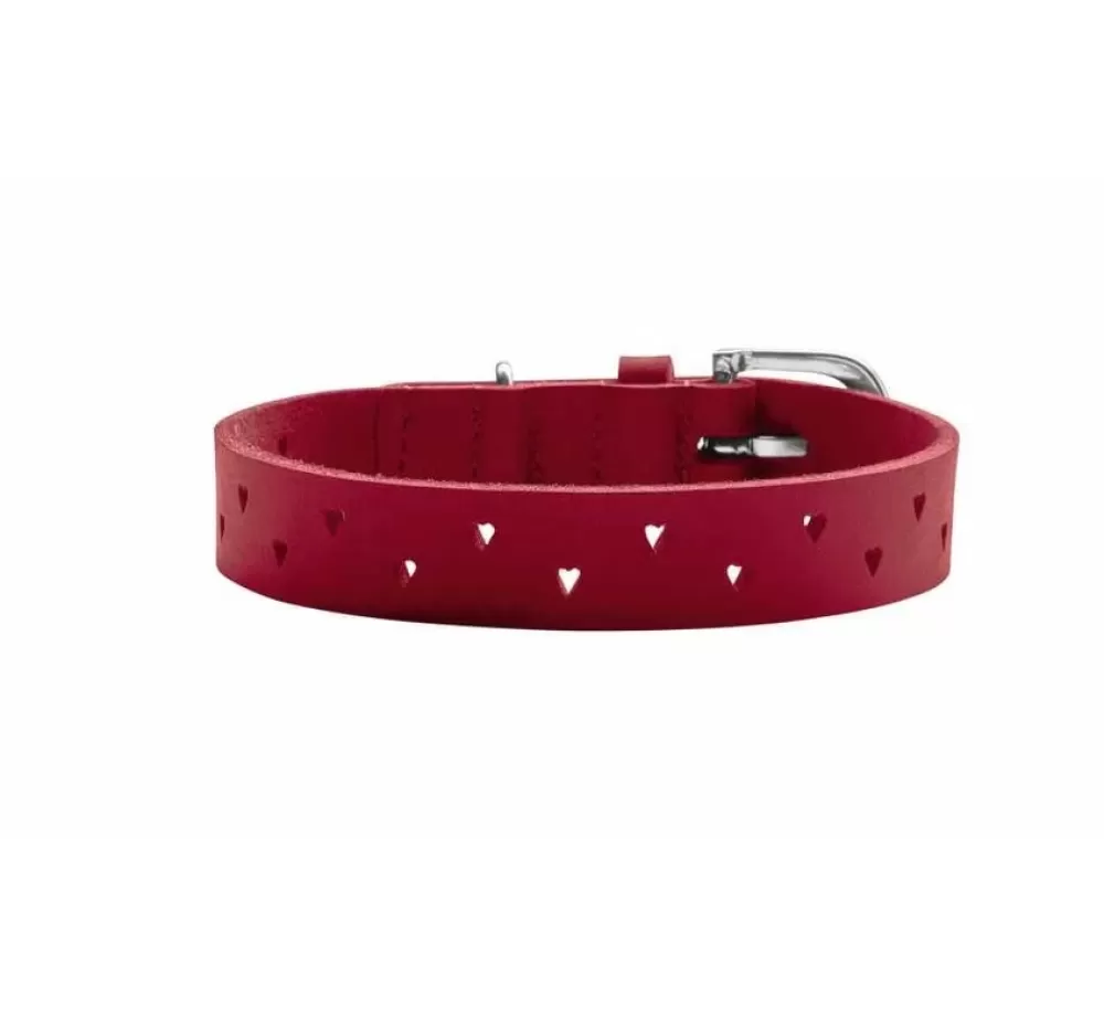 Hunter Small Dog Collars | Dog Collar Aalborg Soul Red