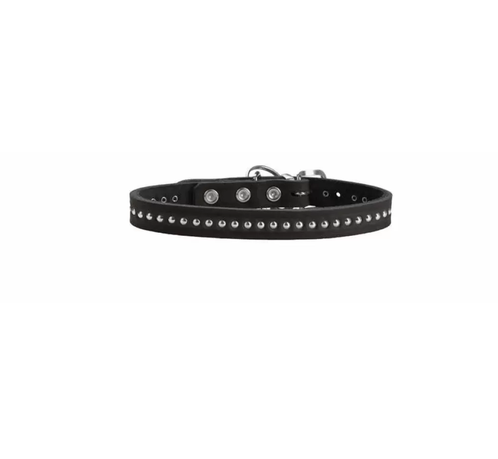 Hunter Small Dog Collars | Dog Collar Aalborg Style Black