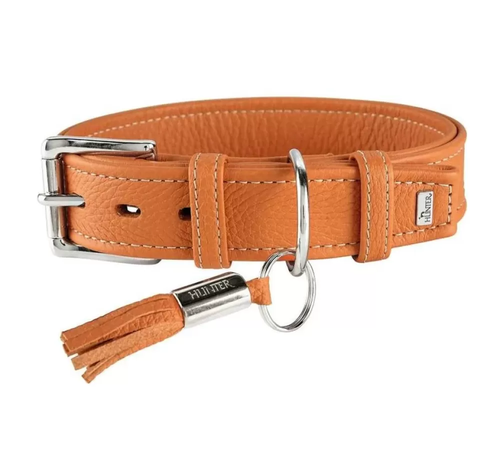 Hunter Large Dog Collar | Dog Collar Cannes Orange