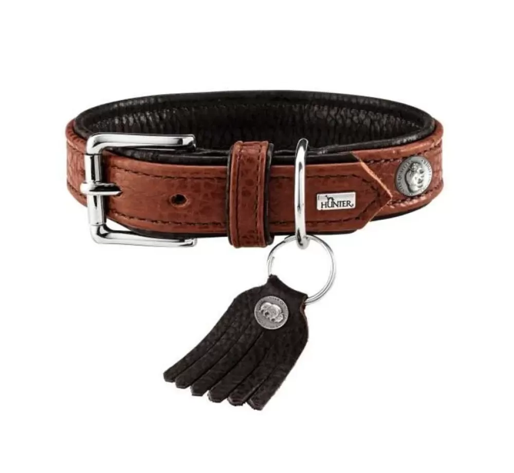 Hunter Exclusive Dog Collars | Dog Collar Cody Cognac