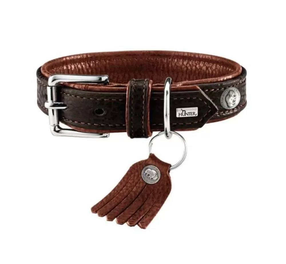 Hunter Exclusive Dog Collars | Dog Collar Cody Dark Brown