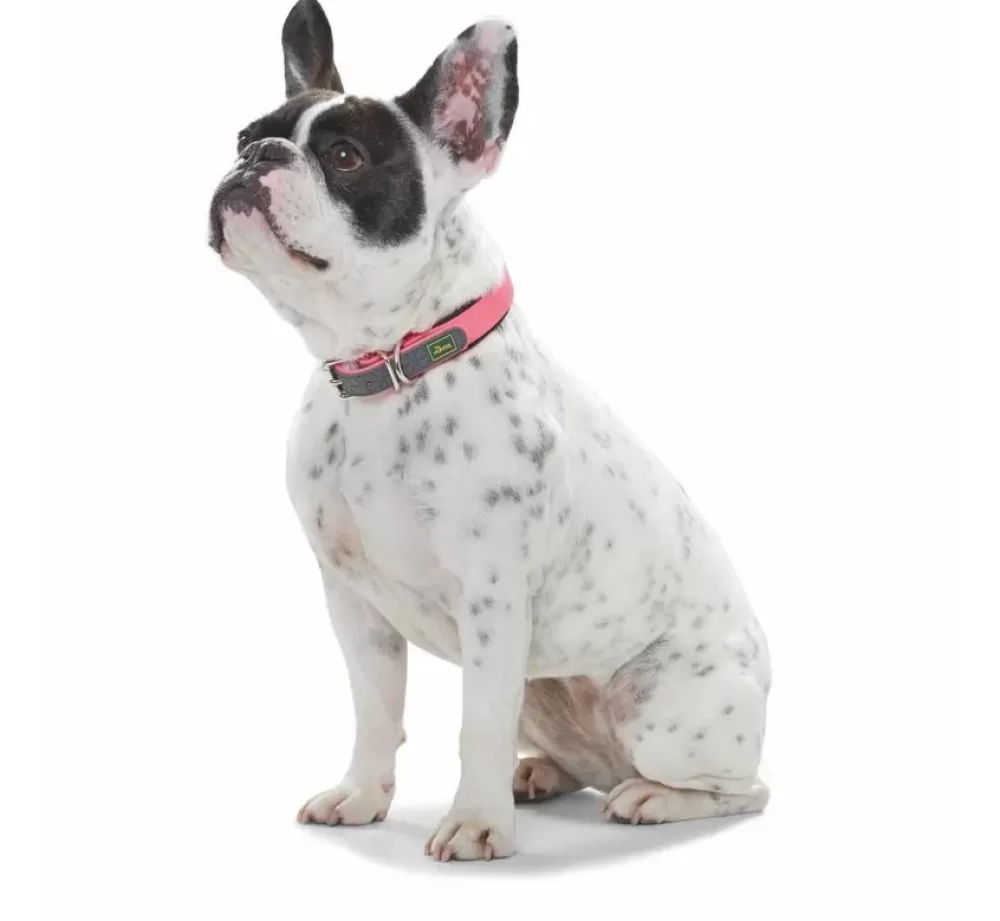 Hunter Large Dog Collar | Dog Collar Convenience Comfort Pink