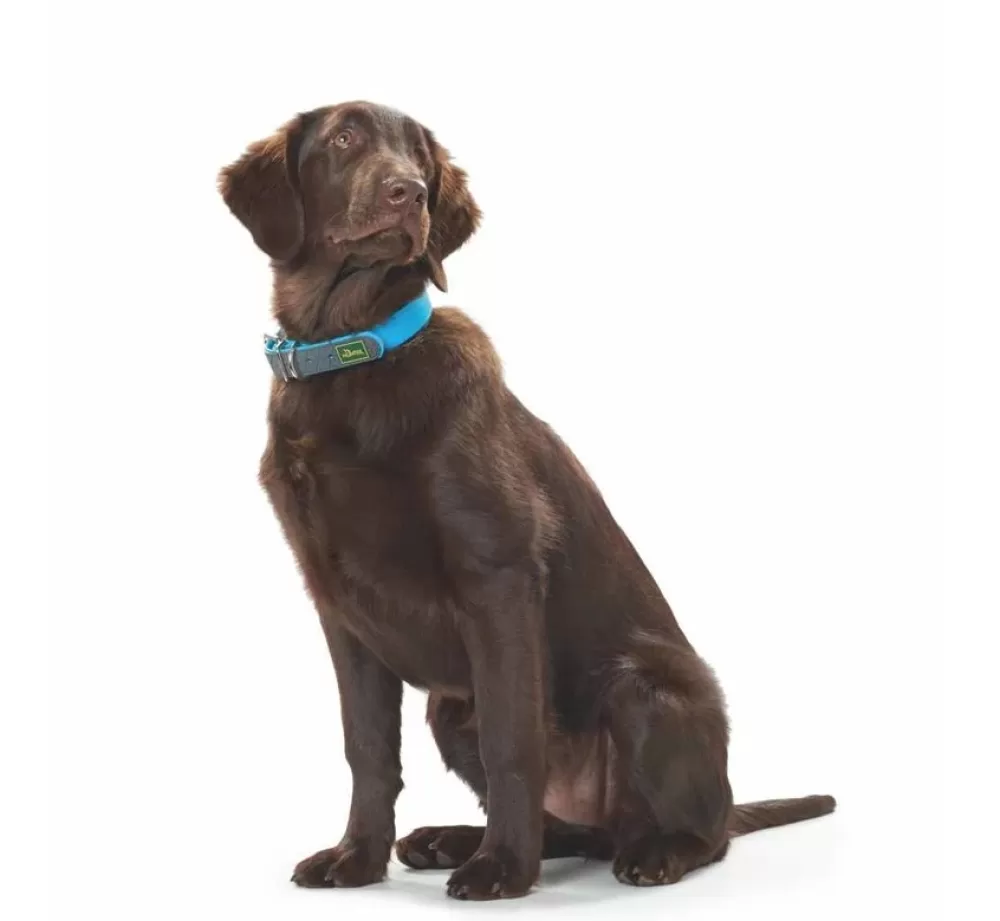 Hunter Large Dog Collar | Dog Collar Convenience Turquoise