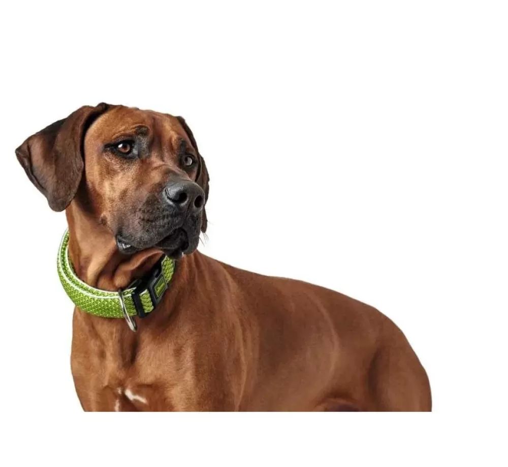 Hunter Large Dog Collar | Dog Collar Hilo Vario Plus Lime