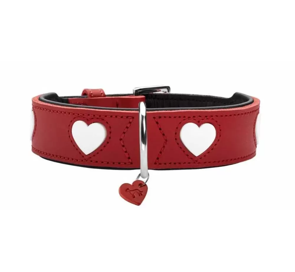 Hunter Large Dog Collar | Dog Collar Love