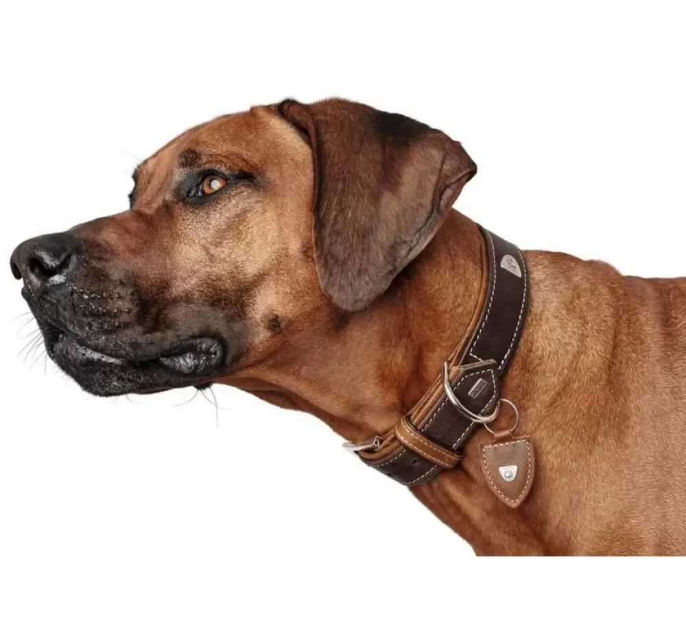 Hunter Hunter Collar | Dog Collar Tara Brown/Cognac