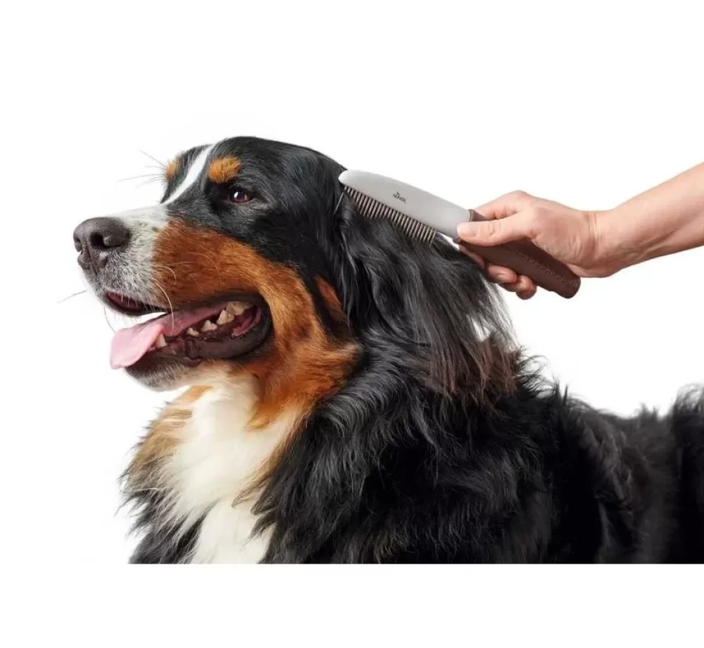 Hunter Grooming | Dog Comb Spa Moving Teeth