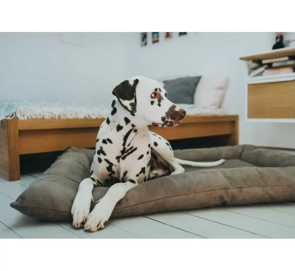 Hunter Imitation Leather Dog Cushion | Dog Cushion Faux Leather Bologna Stone