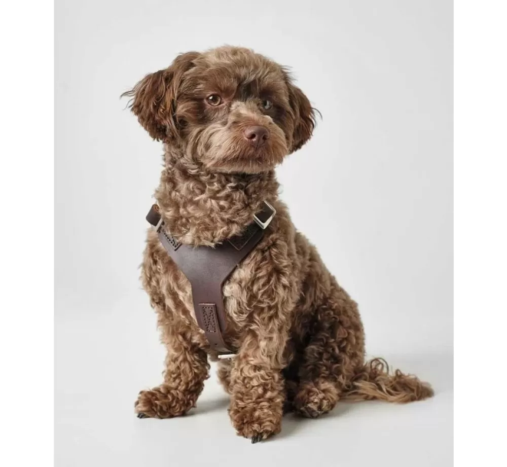 Hunter Hunter Dog Harness | Dog Harness Aalborg Brown