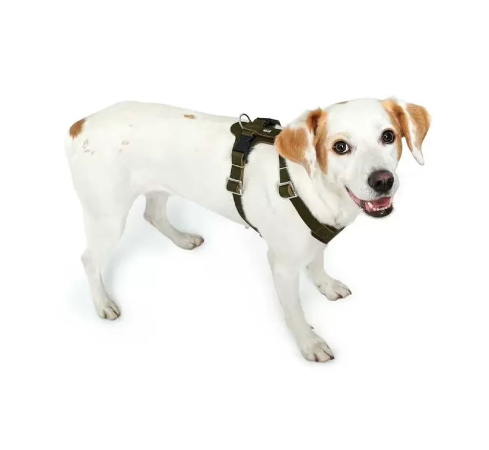 Hunter Hunter Dog Harness | Dog Harness Aalborg Olive