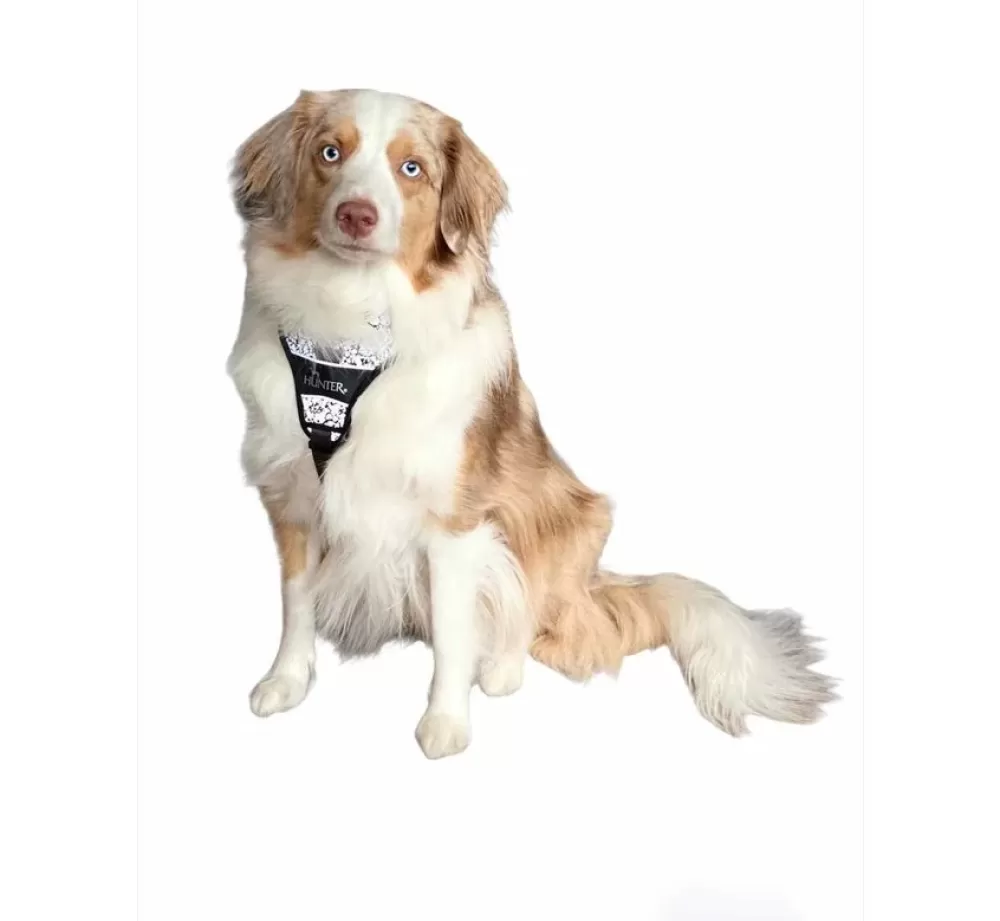 Hunter Hunter Dog Harness | Dog Harness Divo Reflect Black