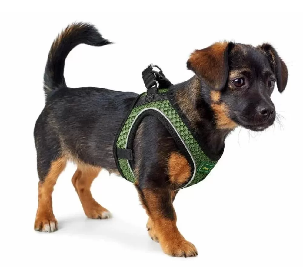 Hunter Hunter Dog Harness | Dog Harness Hilo Comfort Linden Green