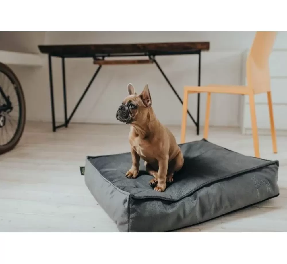 Hunter Orthopedic Dog Cushion | Orthopedic Dog Cushion Merida Anthracite