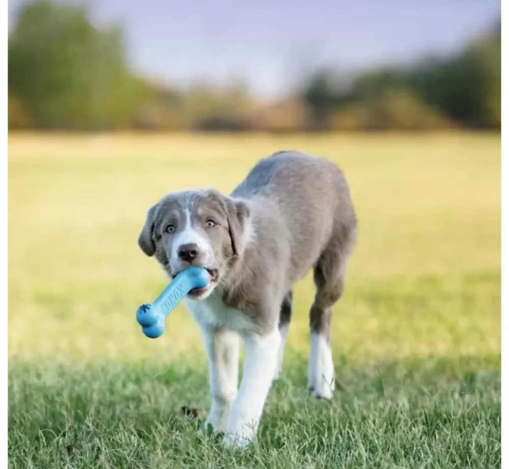 Kong Puppy Toys | Dog Toy Goodie Bone Puppy