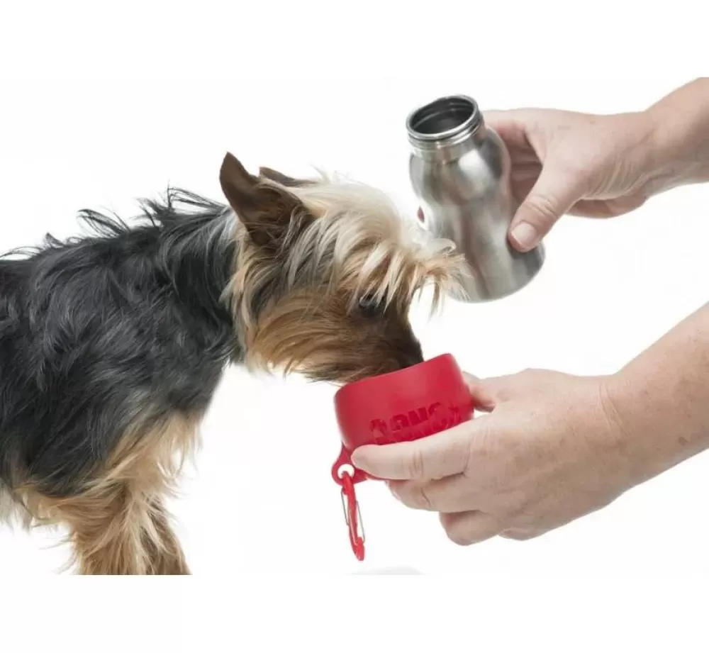 Kong Food Bowl And Water Bowl | Water Bottle Red