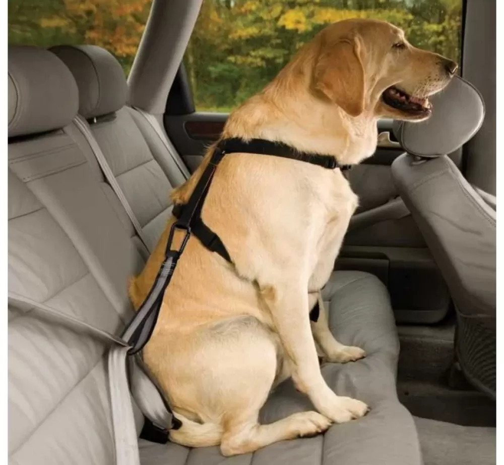 Kurgo Dog Seat Belt | Dog Seat Belt Loop