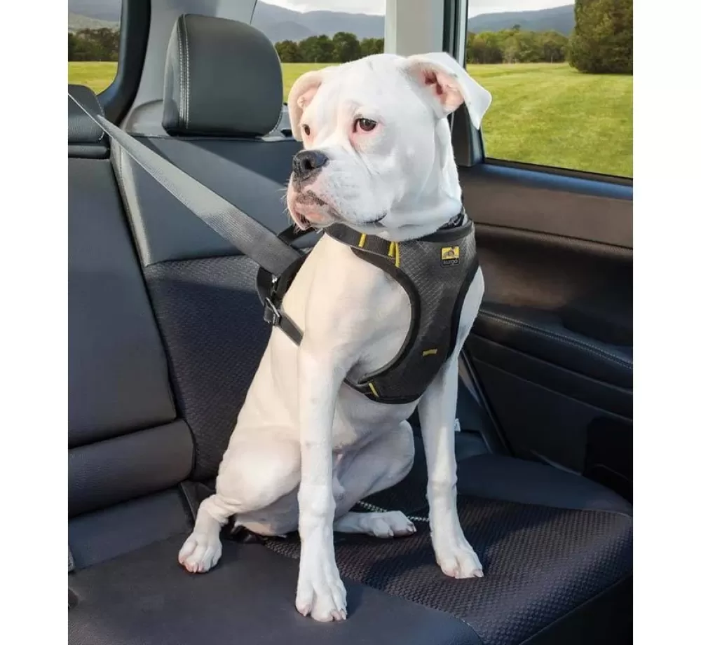 Kurgo Dog Seat Belt | Impact Dog Car Harness