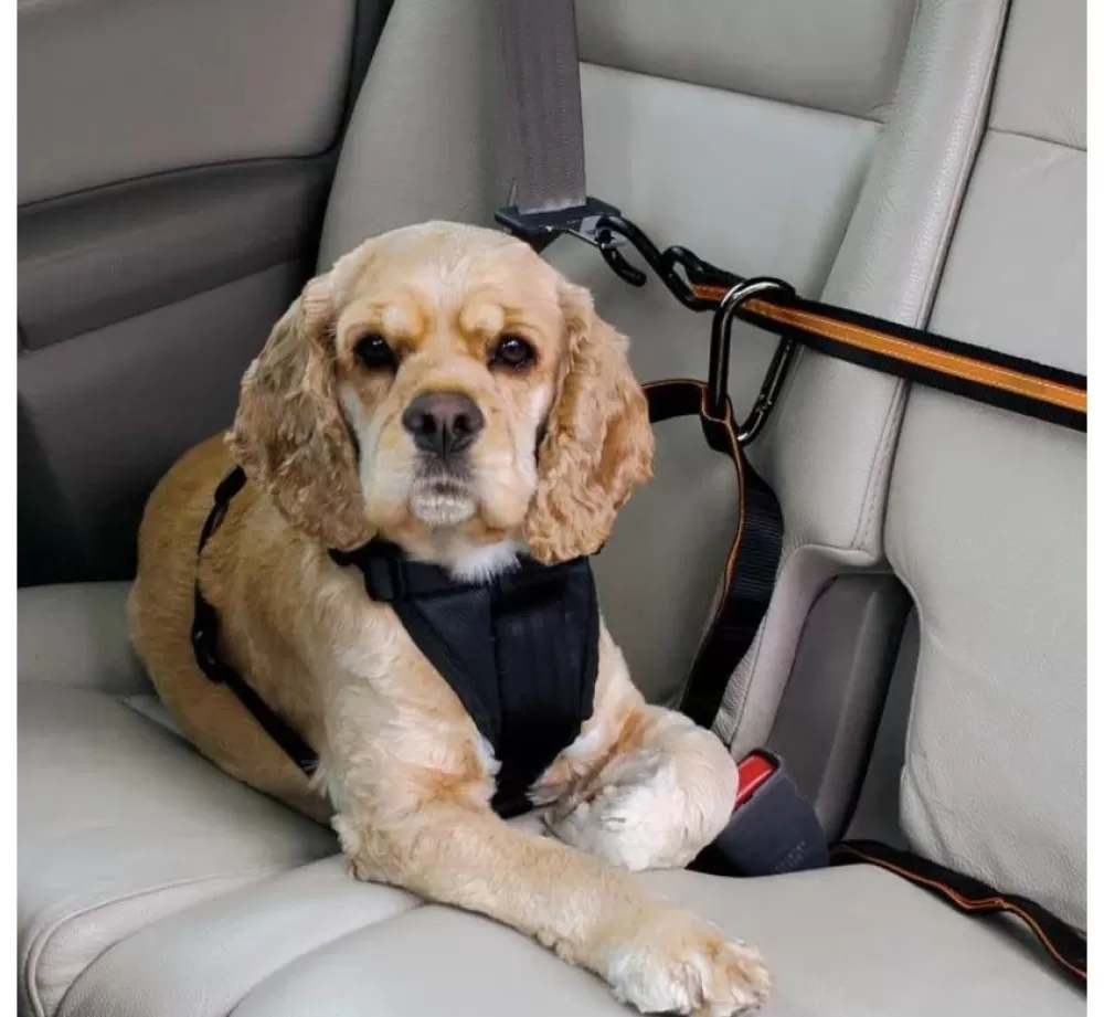 Kurgo Dog Seat Belt | Safety Belt