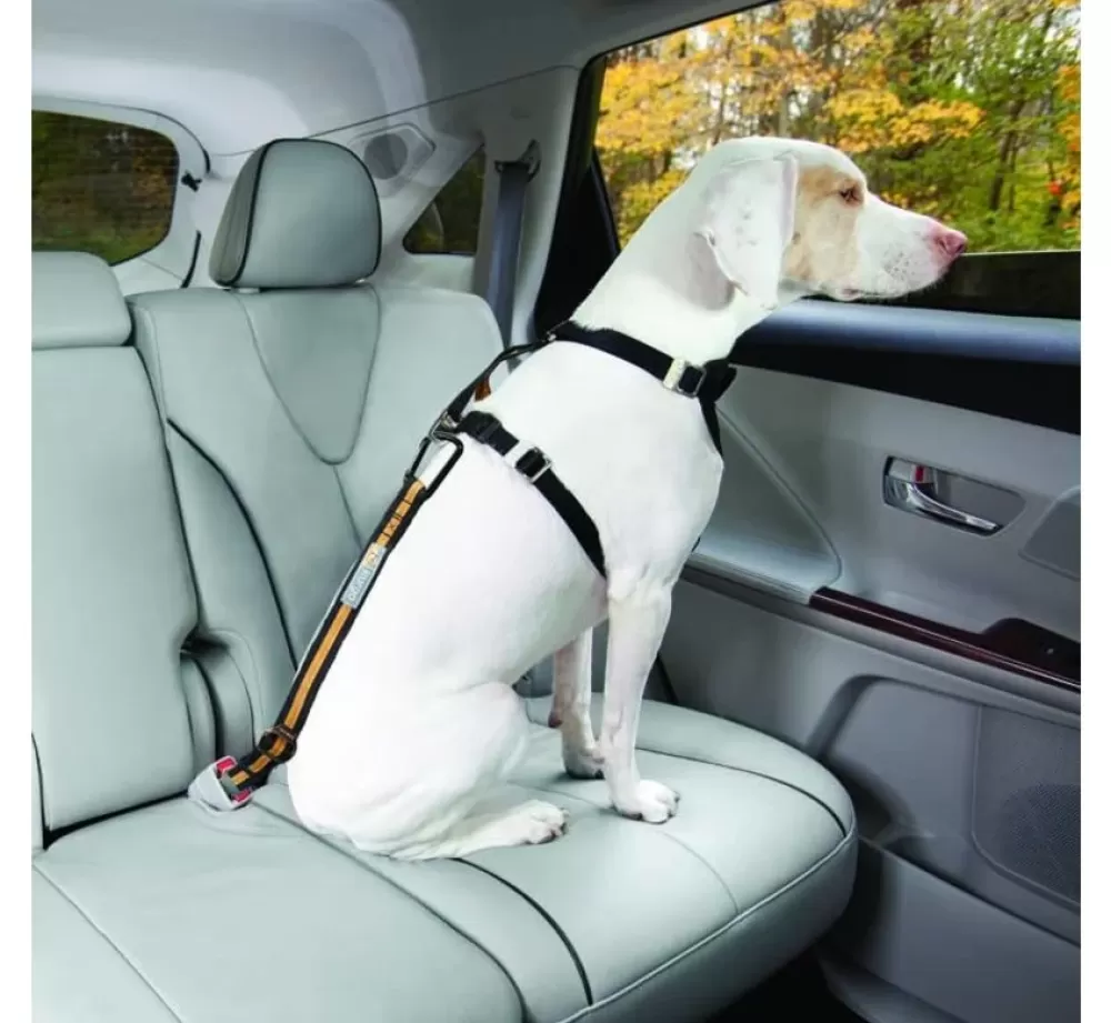 Kurgo Dog Seat Belt | Safety Belt For Seat Belt