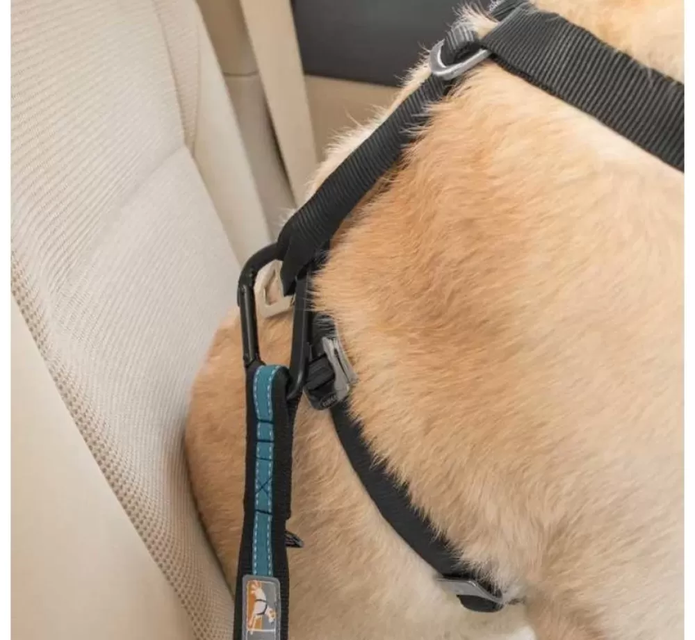 Kurgo Dog Seat Belt | Safety Belt For Seat Belt Blue